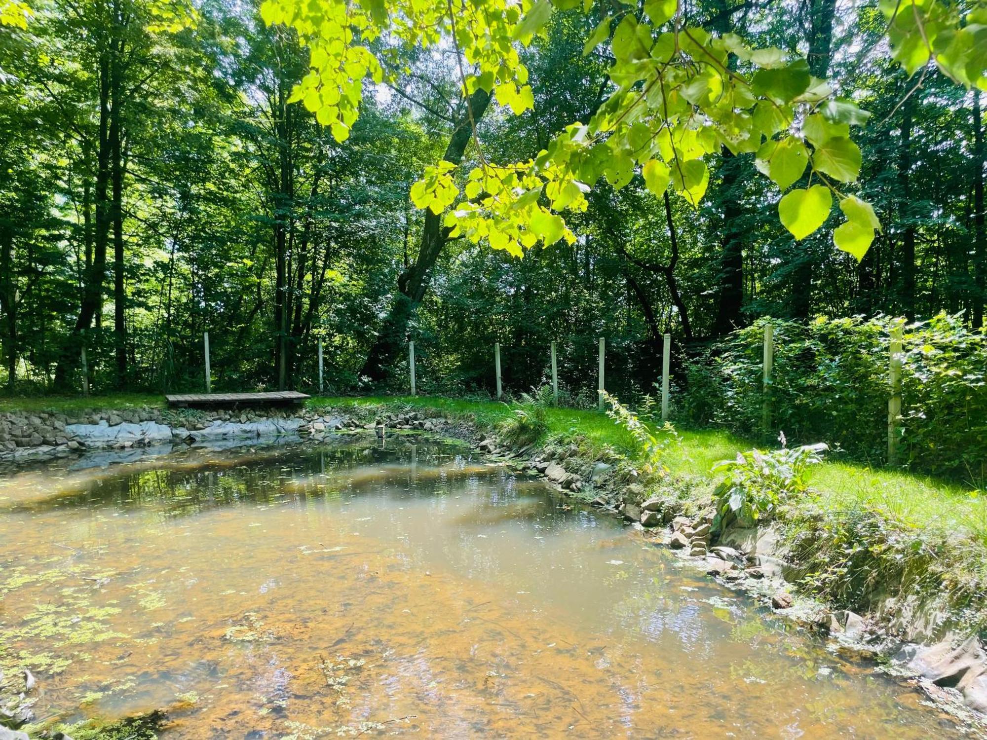 Romantyczna Chatka Βίλα Pisarzowice  Εξωτερικό φωτογραφία