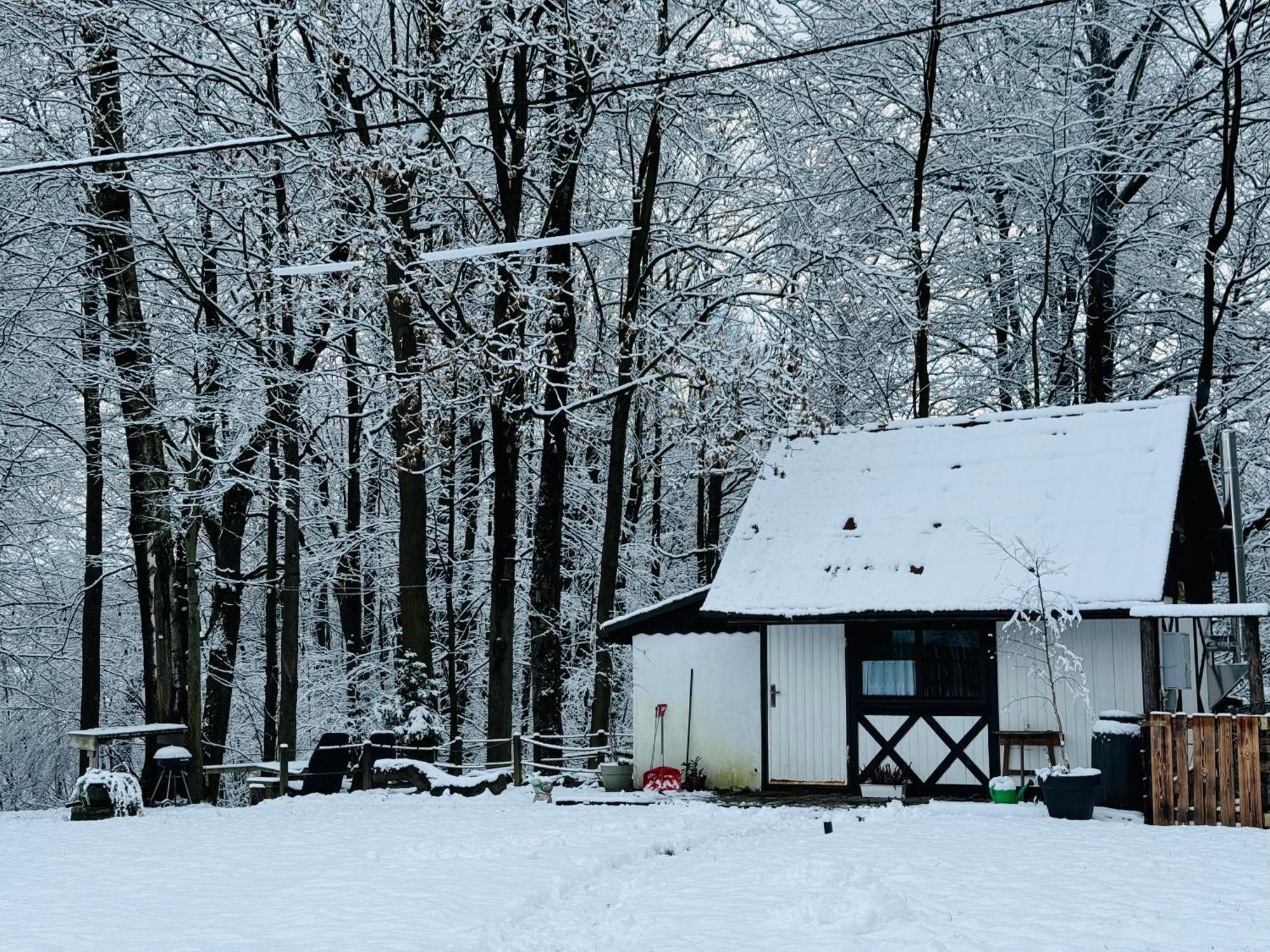 Romantyczna Chatka Βίλα Pisarzowice  Εξωτερικό φωτογραφία