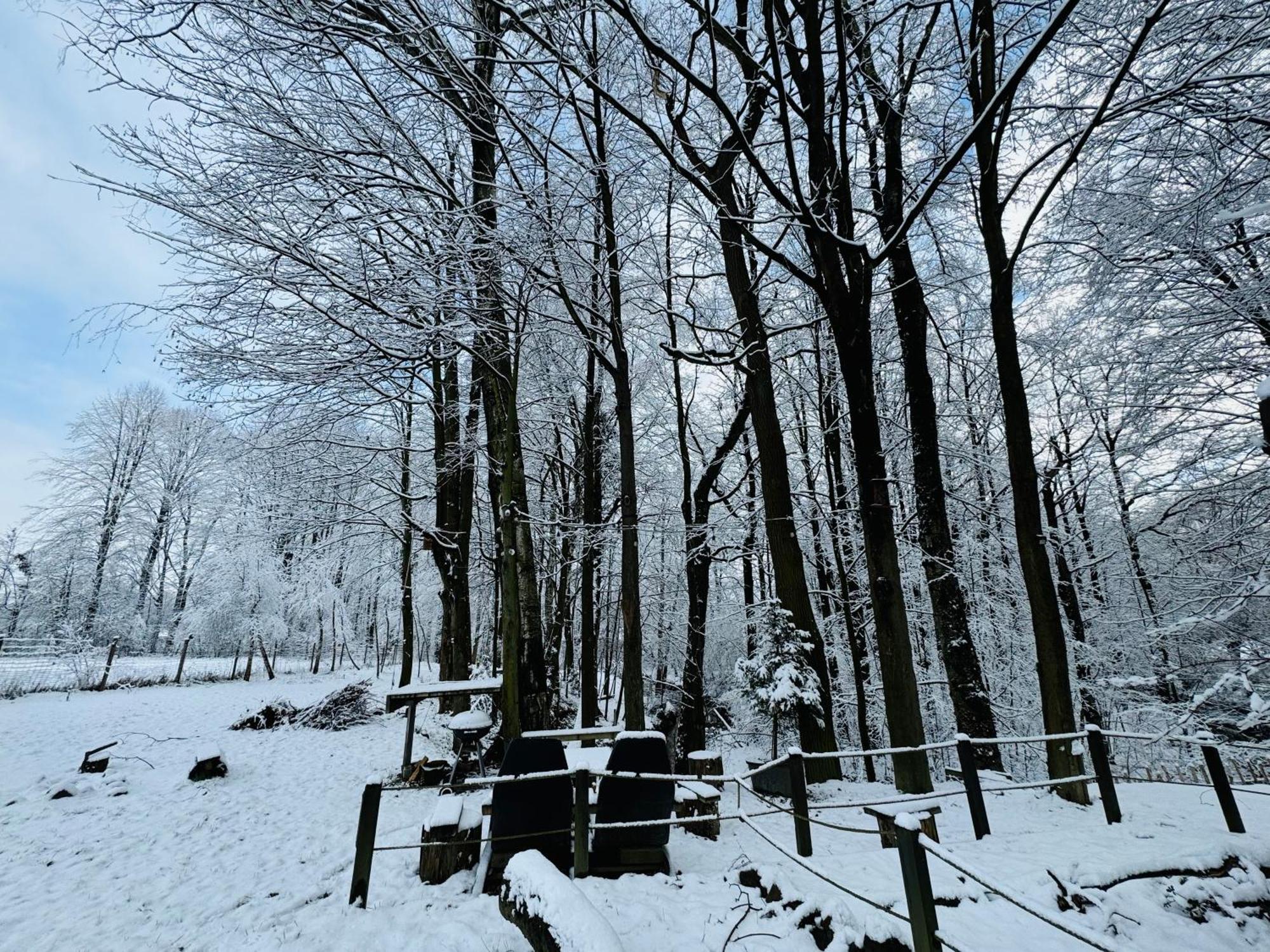 Romantyczna Chatka Βίλα Pisarzowice  Εξωτερικό φωτογραφία